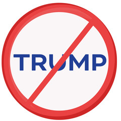 2025 USA America Political Protest Button