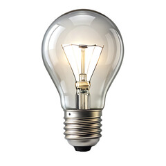 Clear Glass Incandescent Light Bulb with Dark Filament and Metallic Screw Base isolated on a transparent background