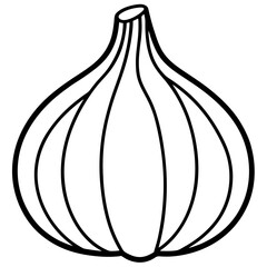 Garlic line art vector