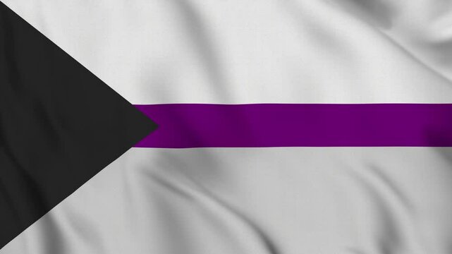 Demisexual Pride Flag &ndash; 4K Seamless Loop of the Gray-Asexual Spectrum Identity Banner