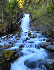 waterfall in the forest