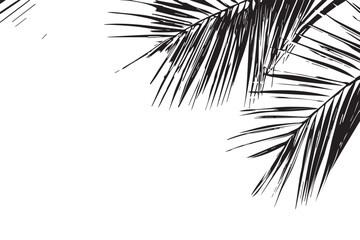 Obraz premium Palm leaves with shadows on a gradient background of blue and peach creating a tropical vibe