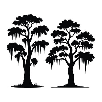 Cypress tree silhouette with moss vector illustration

