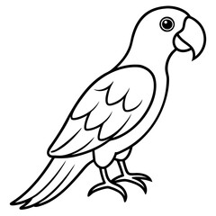 Obraz premium Parrot line art vector