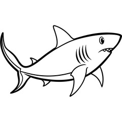Shark line art vector