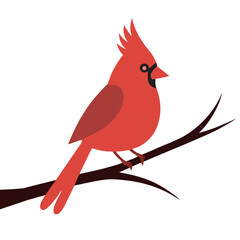 Cardinal Snowy Pine Bird Silhouette Design