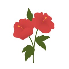 Hibiscus  flower illustration flat design.