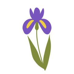 Iris  flower illustration flat design.