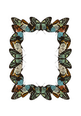 Rectangular frame made of colorful butterflies arranged symmetrically on a white background.