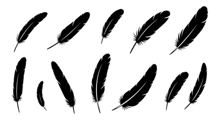 Set of bird feather silhouettes, vector illustration, isolated on white or transparent background. Collection of black plumes for design and decoration.