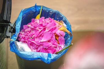 Trash bin filled with fresh pink peony petals, creating a striking contrast between waste and...