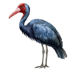 Elephant Bird, watercolor vector, isolated on a white background.