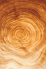 Wooden texture or background vector illustration.	