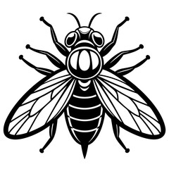 Obraz premium Illustration of a fly insect isolated on white background