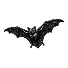Flying Bat Detailed Black and White Outline Line Art Drawing Isolated Vintage Retro Style Animal Illustration