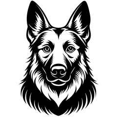 Naklejka premium German shepherd dog head isolated on white background