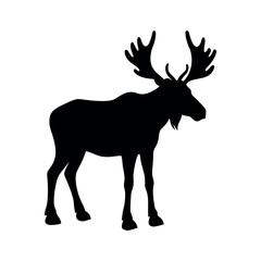 Moose silhouette ,Silhouette Moose vector on white background.