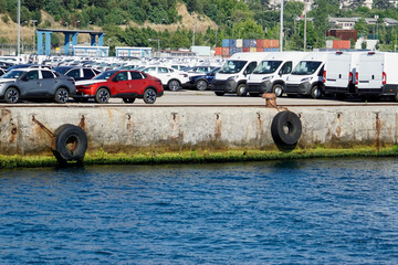 new cars waiting to be loaded at a harbor