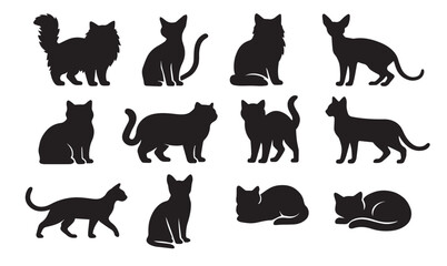 Obraz premium Cat Silhouette Collection – 12 Unique Feline Poses Vector Clipart