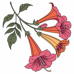  trumpet flower of the valley © MOHAMMADRIPON