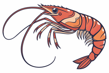 vector illustration of a tiger shrimp
