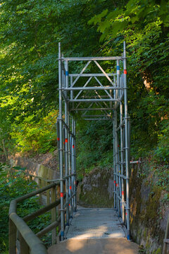A sturdy scaffolding walkway extends into lush greenery, symbolizing temporary solutions, construction progress, and the fusion of urban infrastructure with nature.