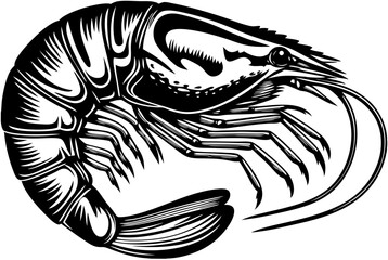 vector illustration of a zebra