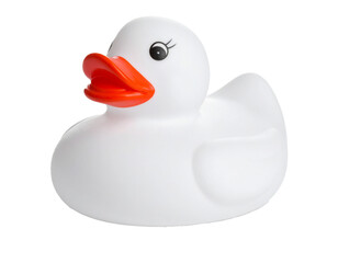 white rubber duck isolated on white background 