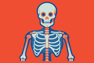 Colorful skeleton illustration on bright red background showcasing anatomical features and artistic design