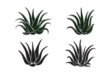 Aloe Vera Plant Icon Set in Silhouette and Line Art Style