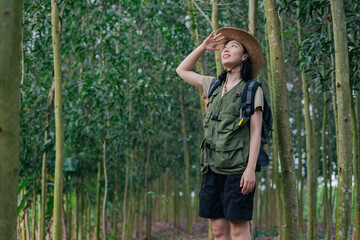 Exploring a lush forest area while enjoying nature during an outdoor adventure in the daytime
