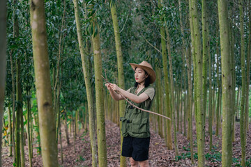 Exploring a lush forest, a young woman examines a branch in a serene environment filled with tall...