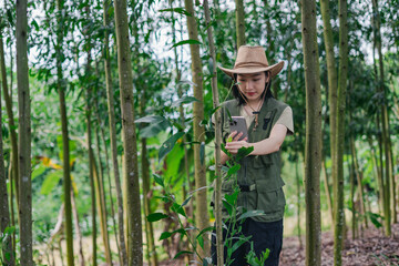 Young Asian person in a cowboy hat using a smartphone in a lush green forest during the day while...