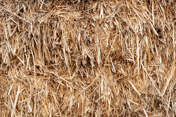 Dry hay. Full frame hay texture. Dried straw