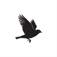 Fototapeta premium Silhouette of a Bird in Flight, A Symbol of Freedom, Wildlife and Beauty in Monochrome, Black and White
