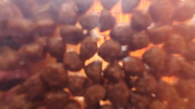 Dog eating dog food. Inside bowl camera effect, real time