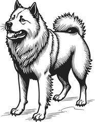 Fototapeta premium Chow Chow vintage engraving showcasing a proud and majestic dog in intricate detail with a vintage design