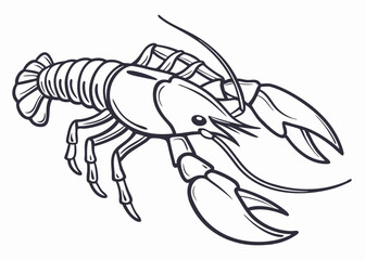 Crayfish Line Art Illustration: Detailed Drawing of a Crawfish