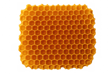Honeycomb pattern revealing geometric precision, hexagonal wax cells reflecting organic symmetry against transparent backdrop, highlighting natural design principles