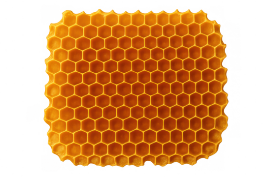 Honeycomb pattern revealing geometric precision, hexagonal wax cells reflecting organic symmetry against transparent backdrop, highlighting natural design principles