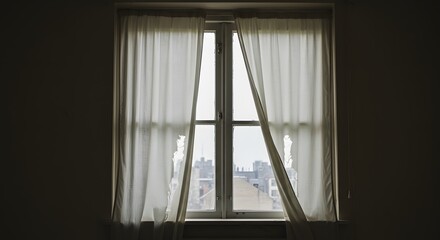 window in the window