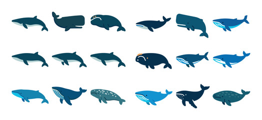 Colorful Whale Icons