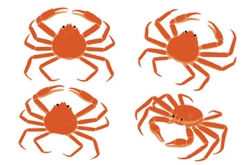 Snow crab Vector logo eps 10. background, perfect for wallpaper or design elements	