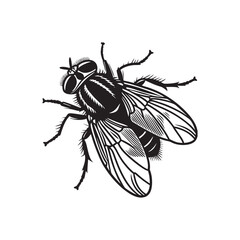 silhouette of insects fly single bundle on the white background 