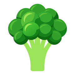 Isolated fresh green broccoli vegetable nutrition healthy eating vegetarian diet image design