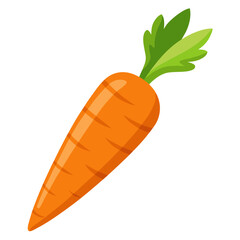 Isolated vector illustration of fresh and healthy orange carrot with green leaves art