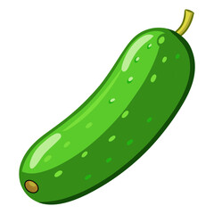 Isolated green cucumber vegetable illustration for healthy eating and cooking recipes ideas