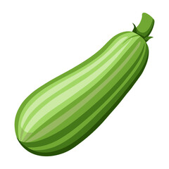 Isolated fresh green zucchini vegetable image perfect for healthy eating and cooking designs