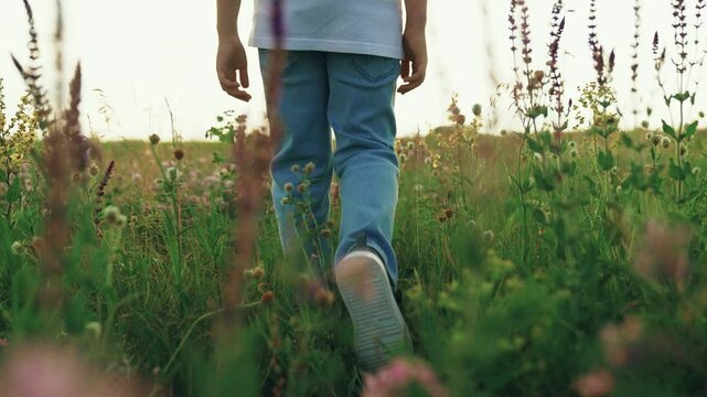 Boy child walks on grass with flowers in summer in park. Legs child stepping on green grass on lawn. Children play in park on vacation. Happy child relaxes in summer in flower field, outdoor. Travel