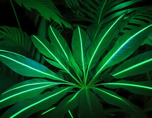Fototapeta premium green fern leaves background, Green and Blue Neon Light with Tropical Leaves. Abstract neon light leaves background with copy text space